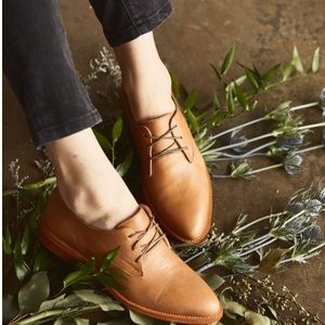 Nisolo James Oxford in Almond shade